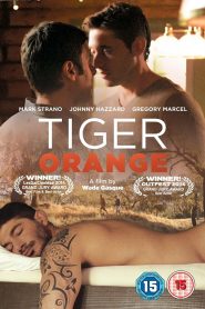 Tiger Orange – Legendado