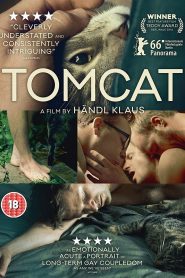 Tomcat (Kater)
