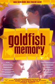 Goldfish Memory (Todas as Cores do Amor)