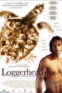 Loggerheads (Tartarugas Também Choram)