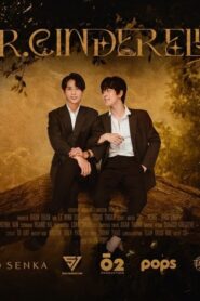 Mr. Cinderella: Season 1