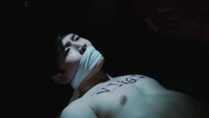 The Warp Effect: 1×12