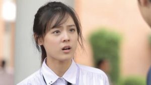 Hormones: 1×1